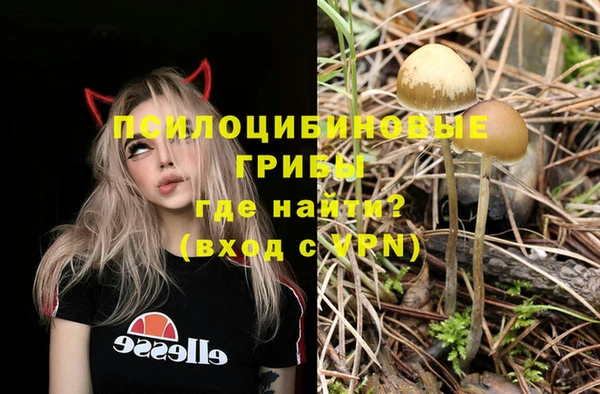 первитин Абаза