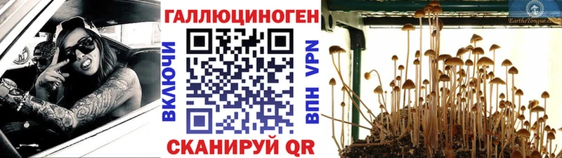 Псилоцибиновые грибы прущие грибы наркота Россошь