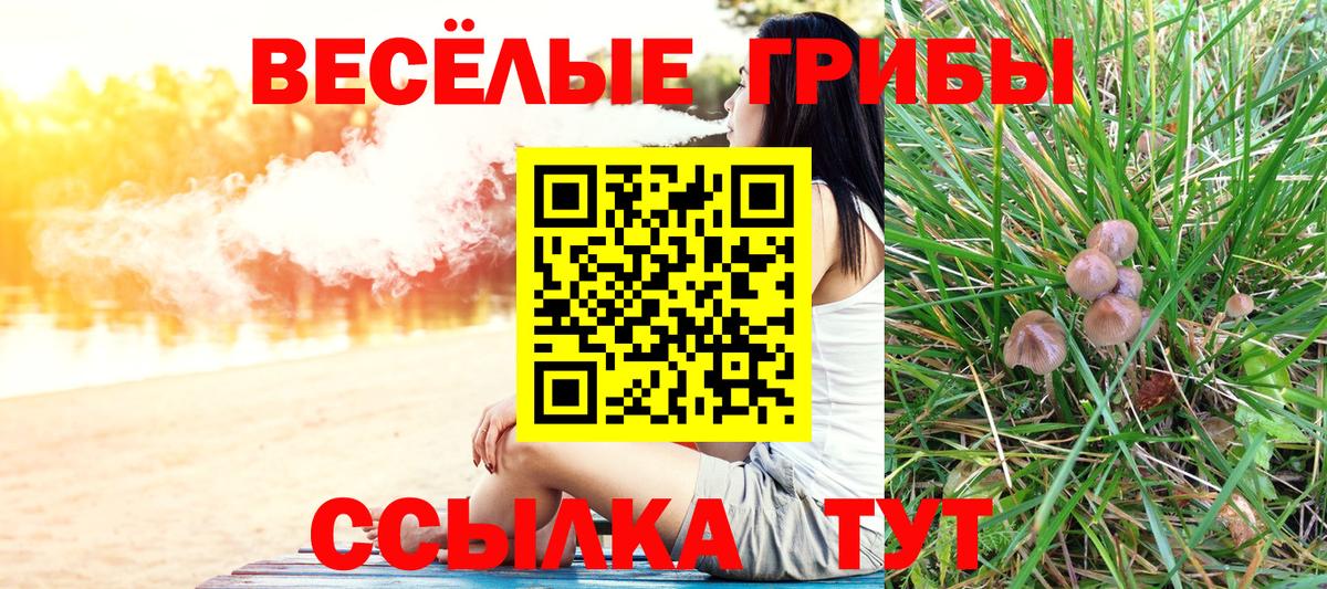 Галлюциногенные грибы ЛСД Россошь