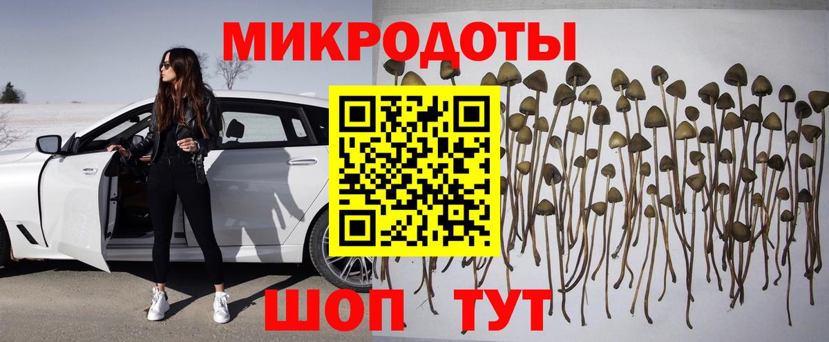 Галлюциногенные грибы GOLDEN TEACHER  Галлюциногенные грибы GOLDEN TEACHER  Россошь  Вход с VPN 